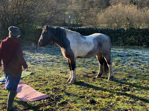 Full circle experiences-安布赛德必去景点