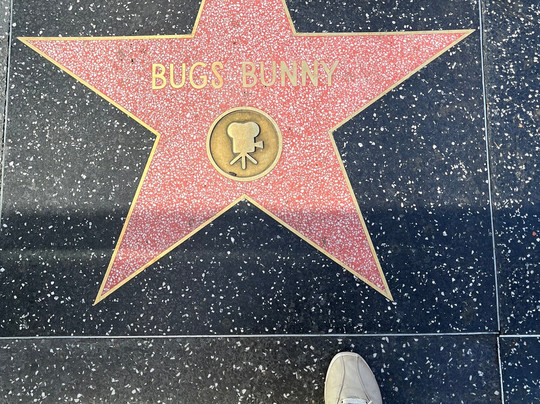 Anti american tours-圣莫尼卡必去景点