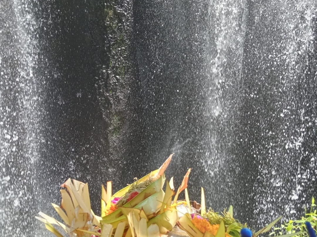 Beji Griya Waterfall景点图片