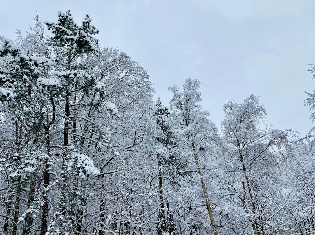 玛丽蒂姆基尔酒店主图