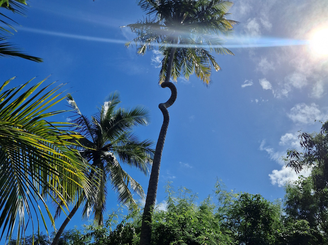 Island Explorer Tours-奥伊斯廷斯必去景点