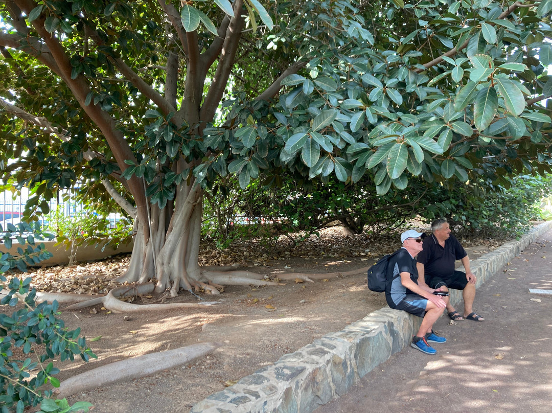 Botanical Park of Maspalomas (El Parque Botanico de Maspalomas)景点图片