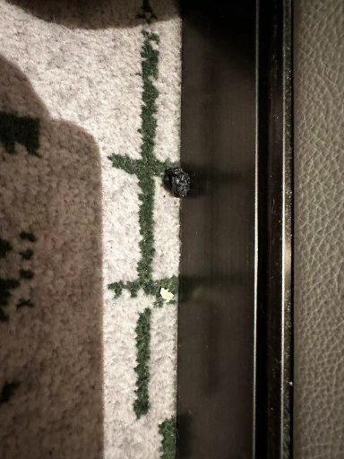 成都协信中心希尔顿酒店-客卧