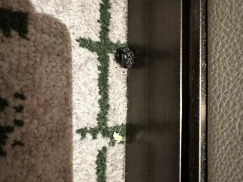 成都协信中心希尔顿酒店主图