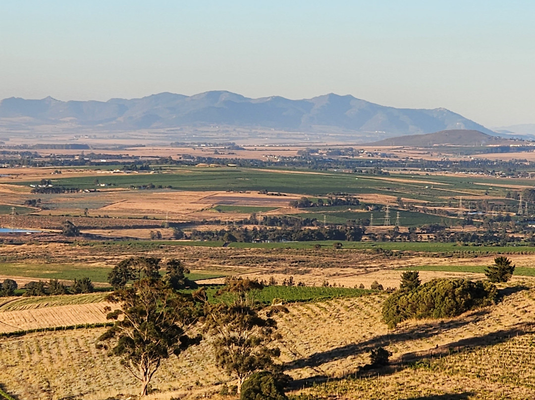 Mooiplaas Wine Estate-斯泰伦博斯必去景点