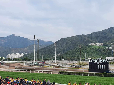 Shatin Racecourse Experience-香港必去景点