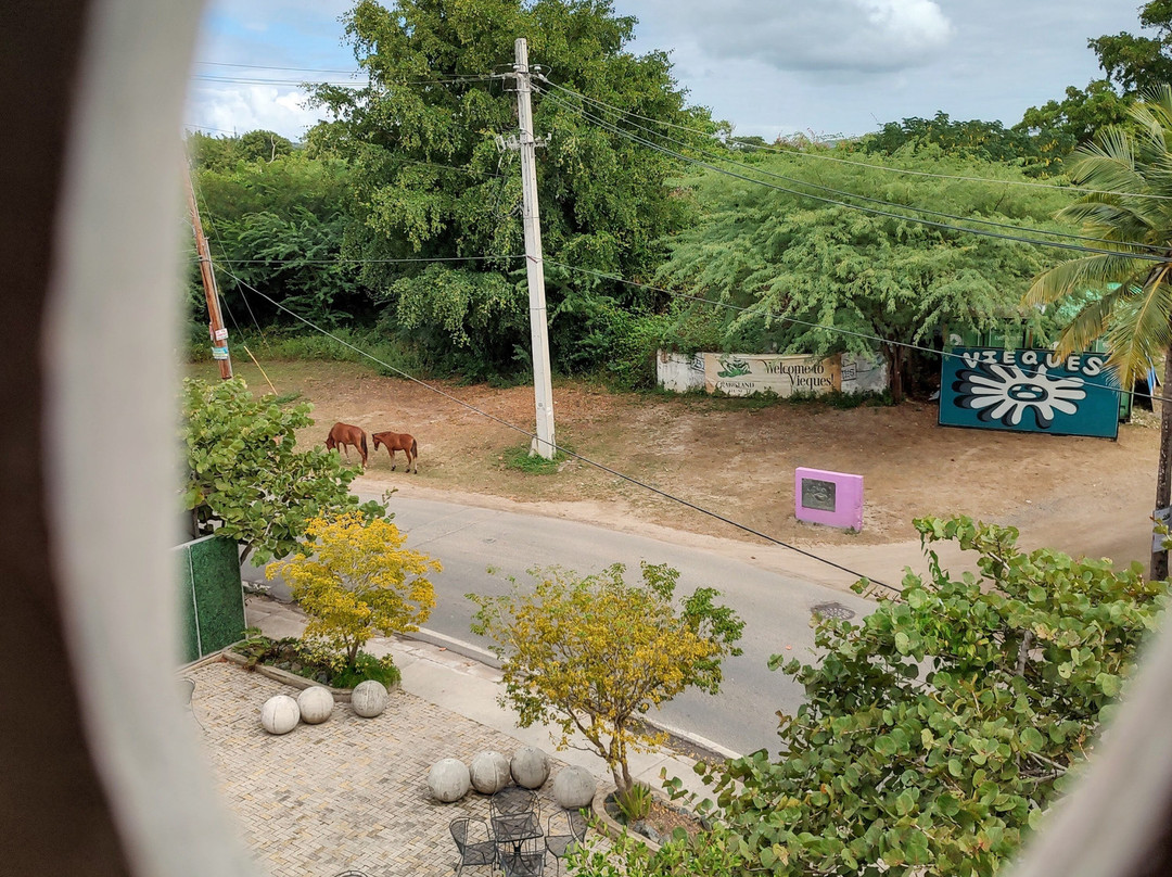 艾尔布洛克酒店主图