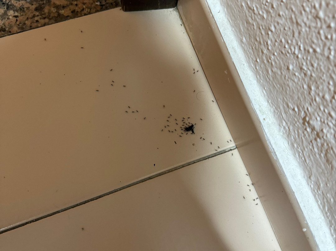 PlayaBachata Spa Resort主图