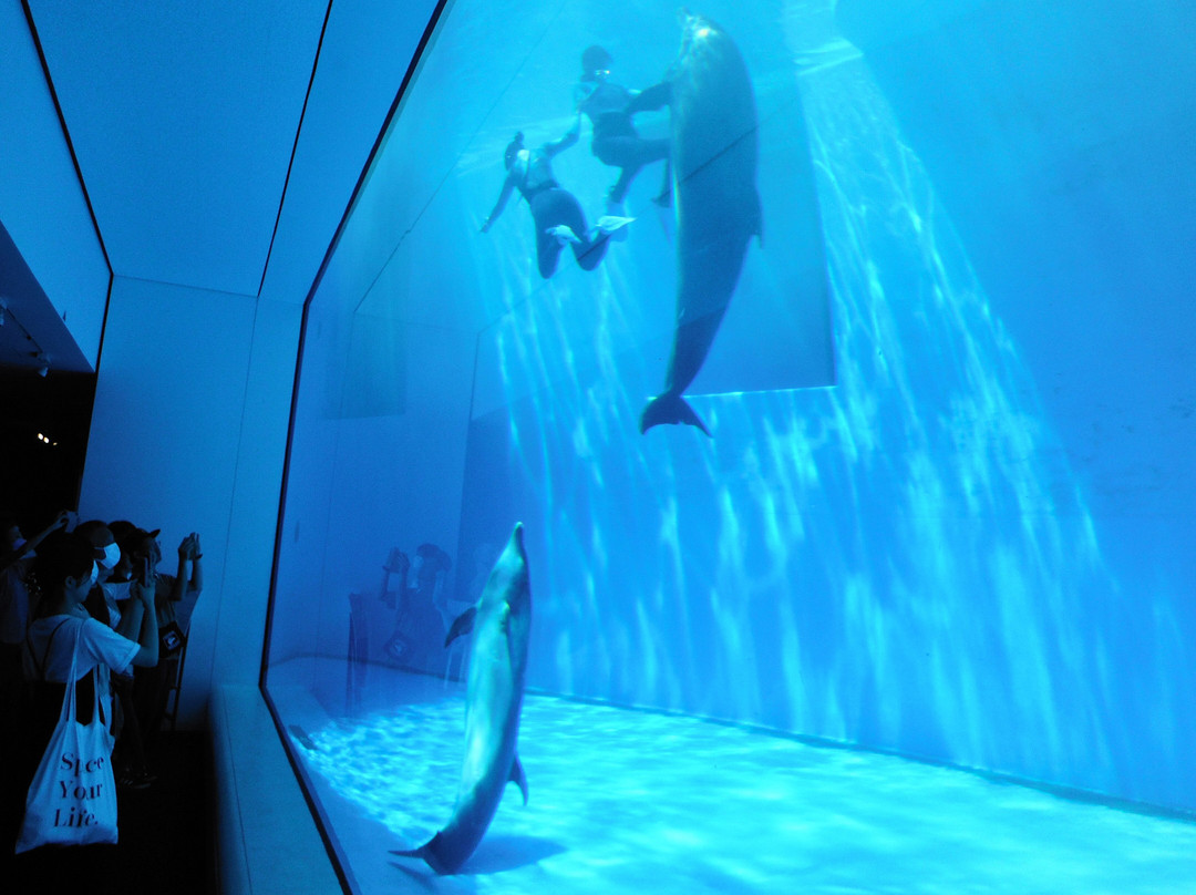 Joetsu Aquarium Umigatari景点图片