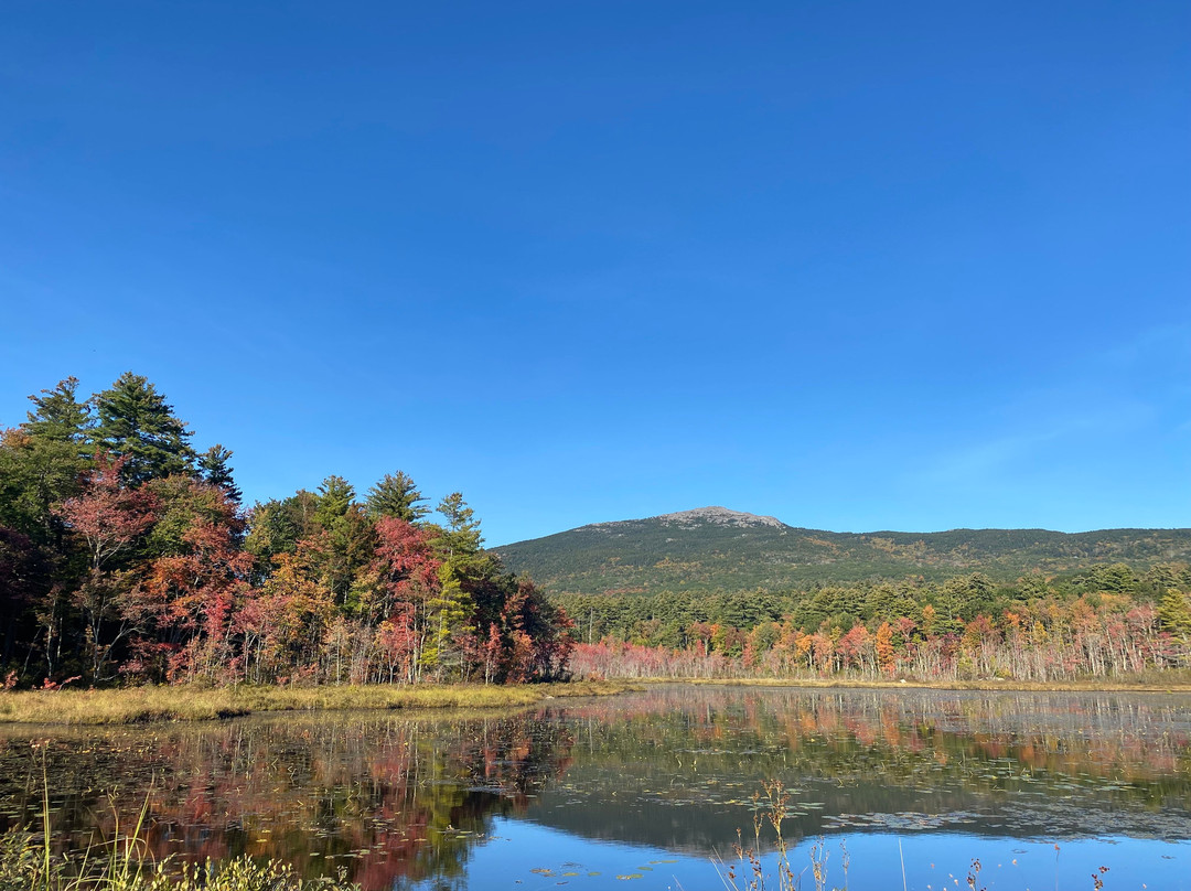 Colby Hill Inn主图