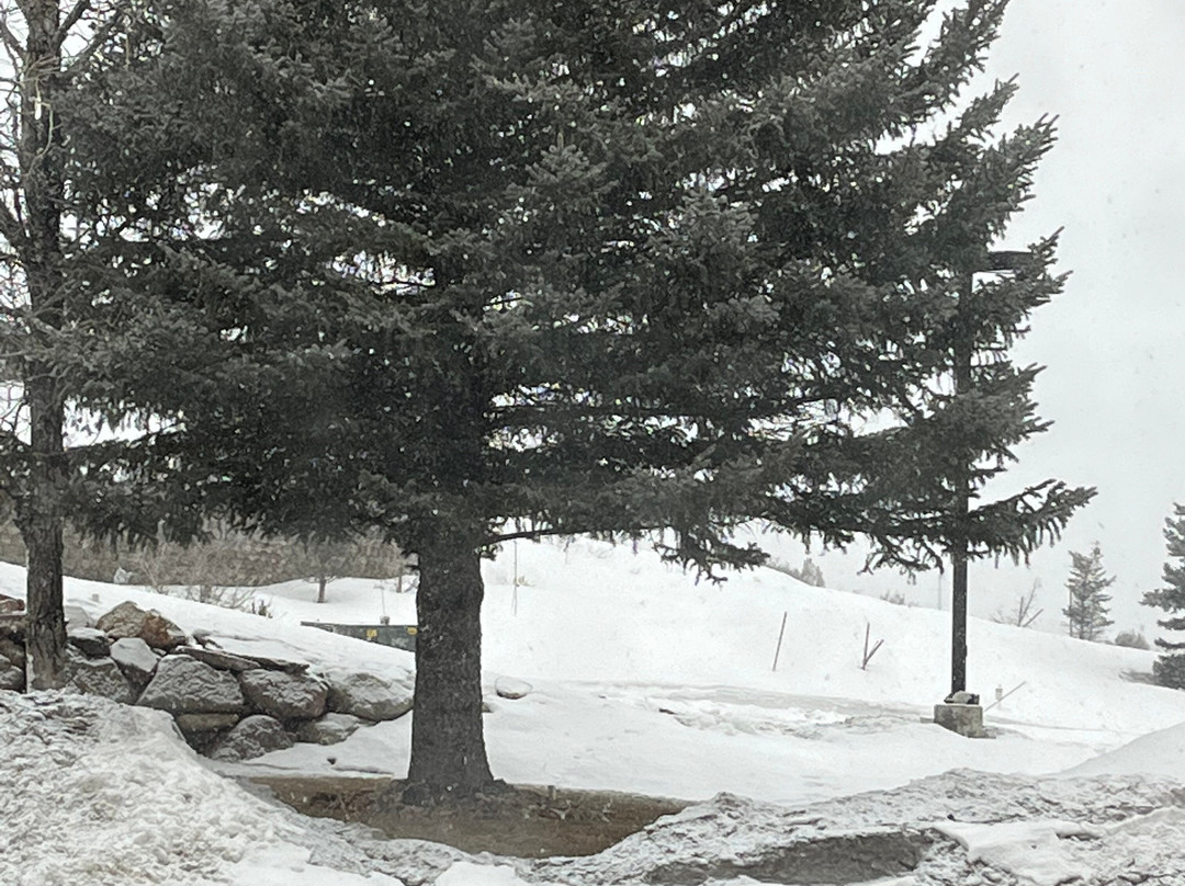 Best Western Plus Landmark Inn主图