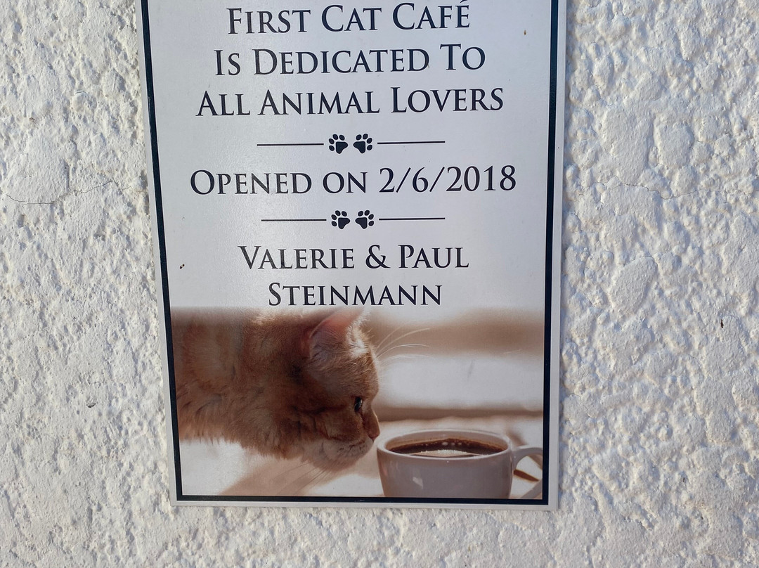 Cat Heaven Rescue Cat Cafe-西索美塞必去景点