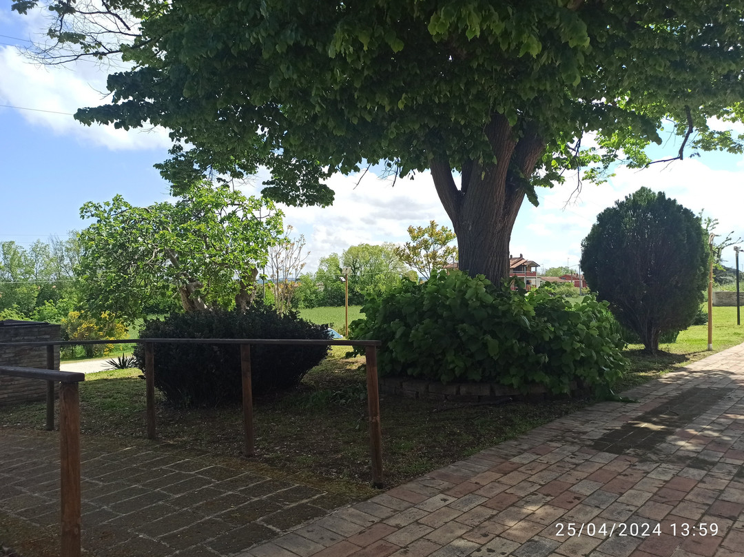 Locanda di Montegiove主图