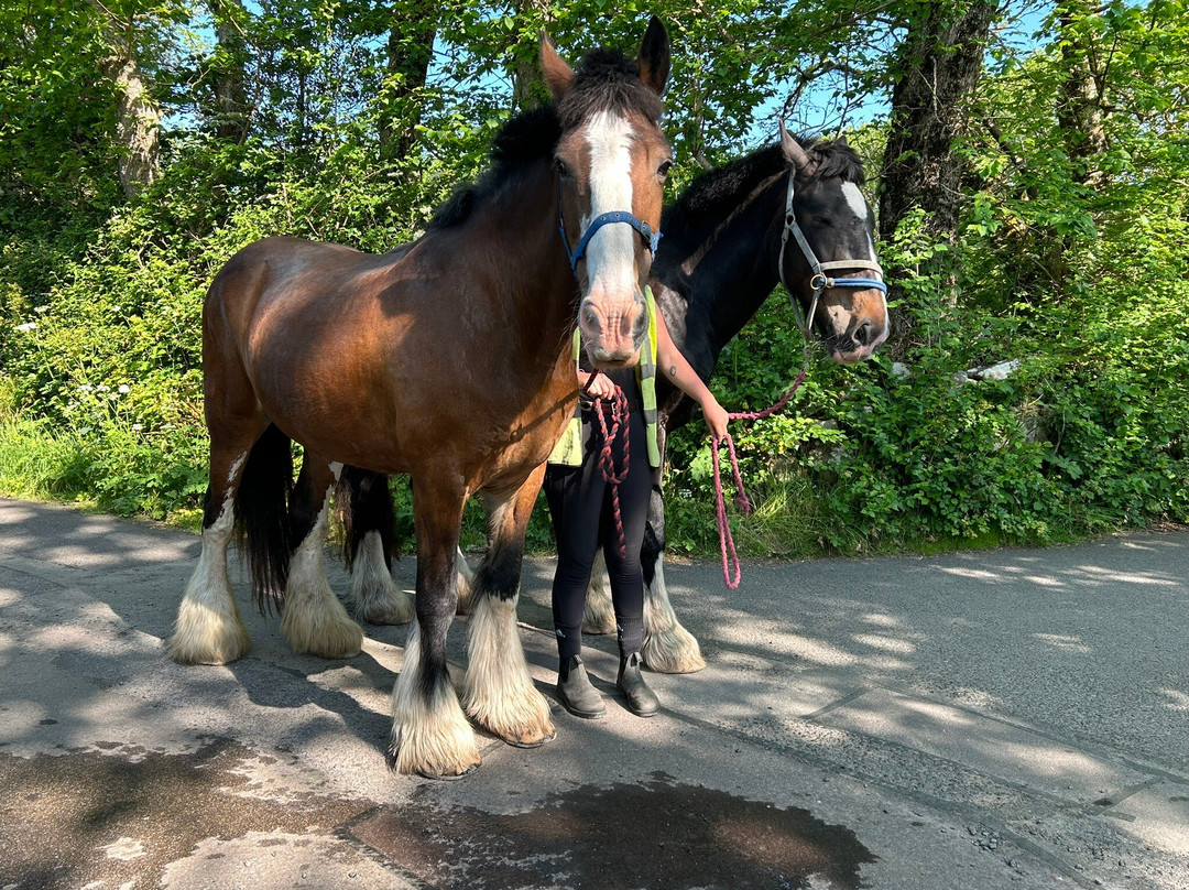 St Mary's Bike Hire-Hugh Town必去景点