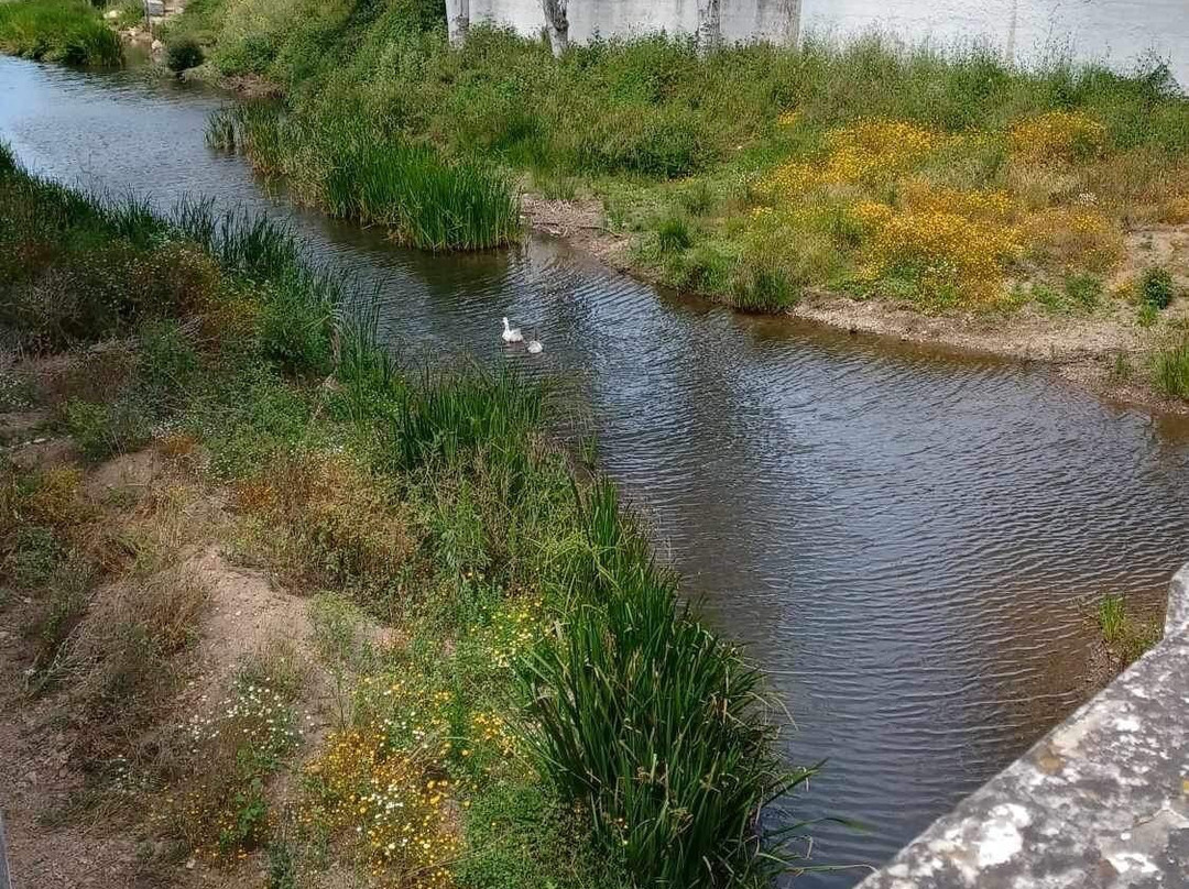 Ponte De Aljezur景点图片