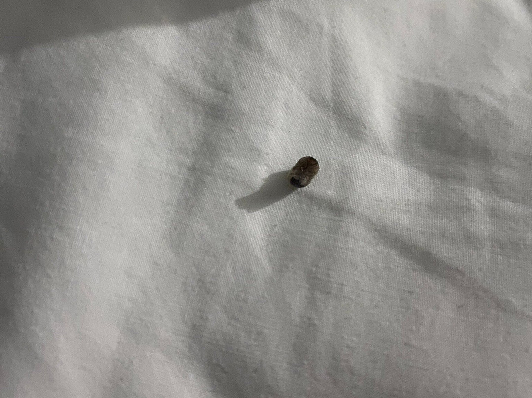 Baymont by Wyndham Bryan College Station主图