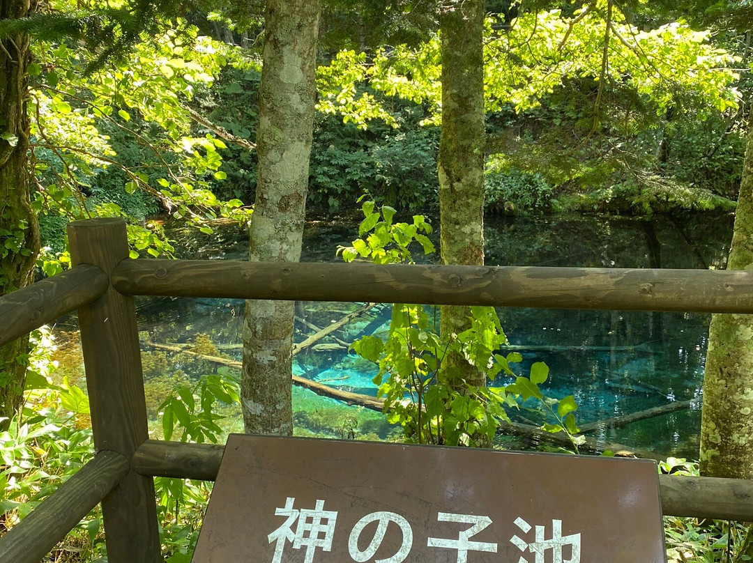 神之子池-清里町必去景点