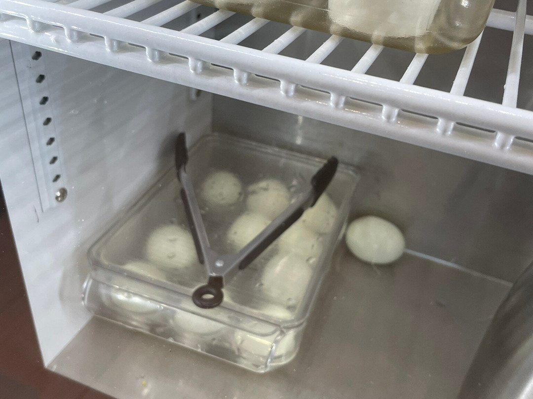 Best Western Exeter Inn & Suites主图