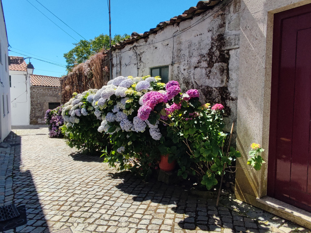 Judiaria de Trancoso景点图片