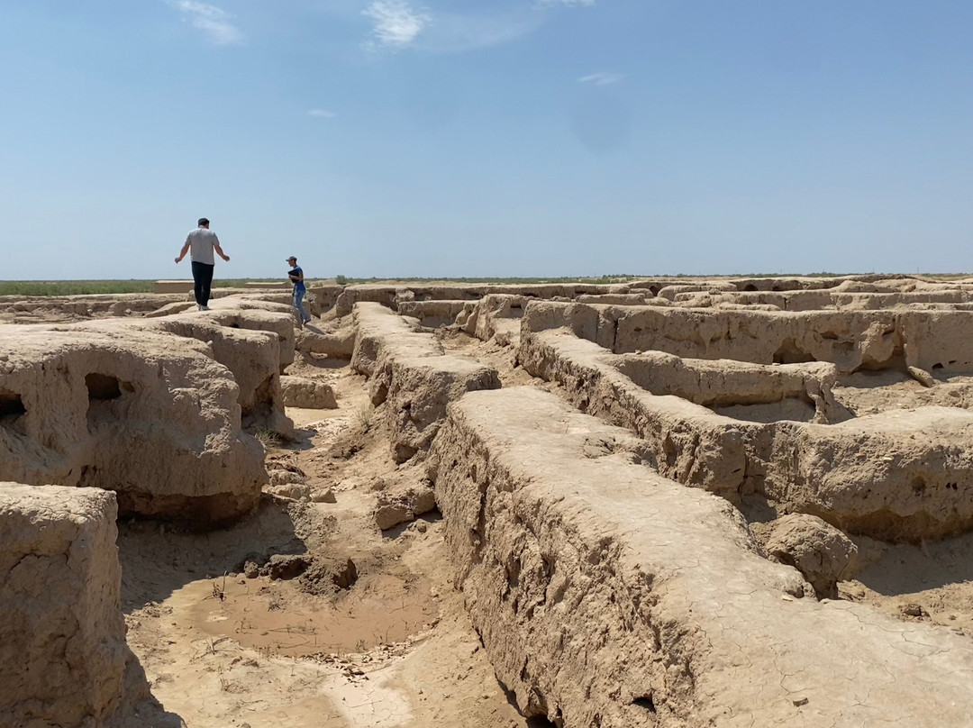 Snow Leopard Tours-撒马尔罕必去景点