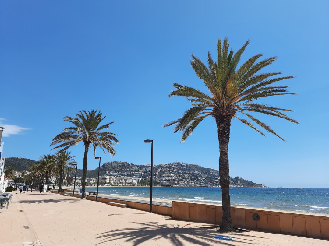 Passeig Marítim景点图片