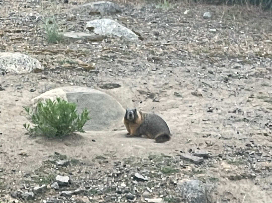 Alpine Rivers Inn主图