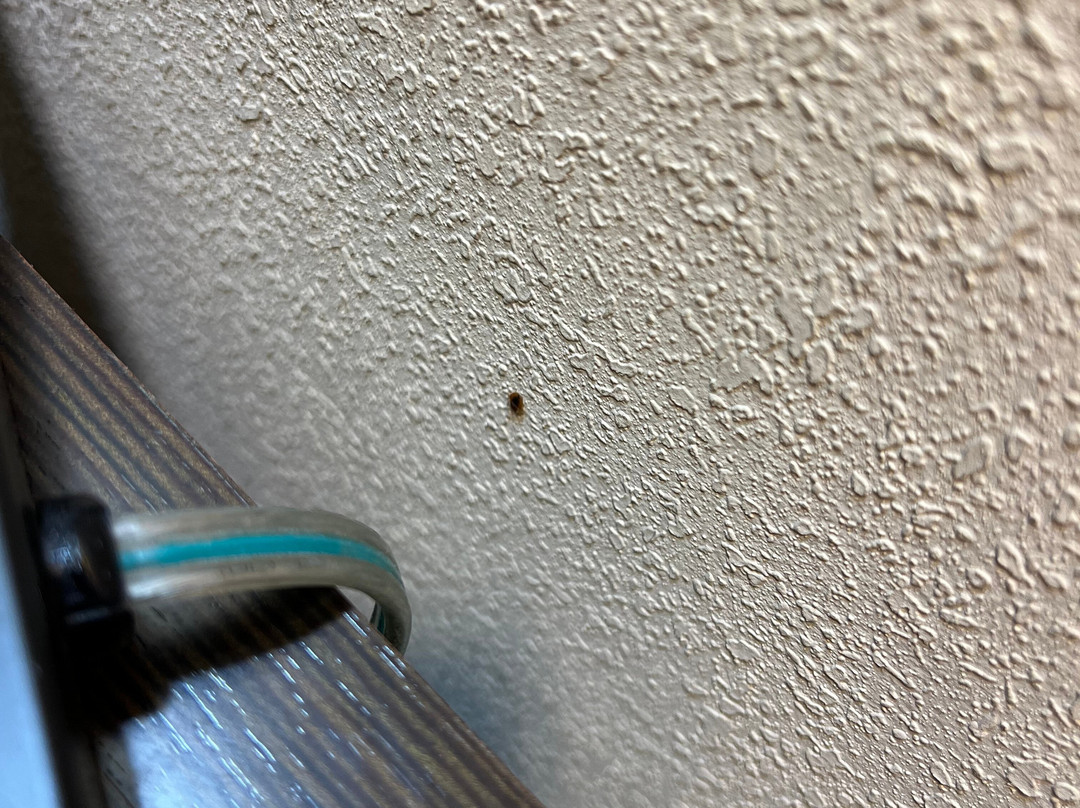 Wingate by Wyndham Chattanooga主图