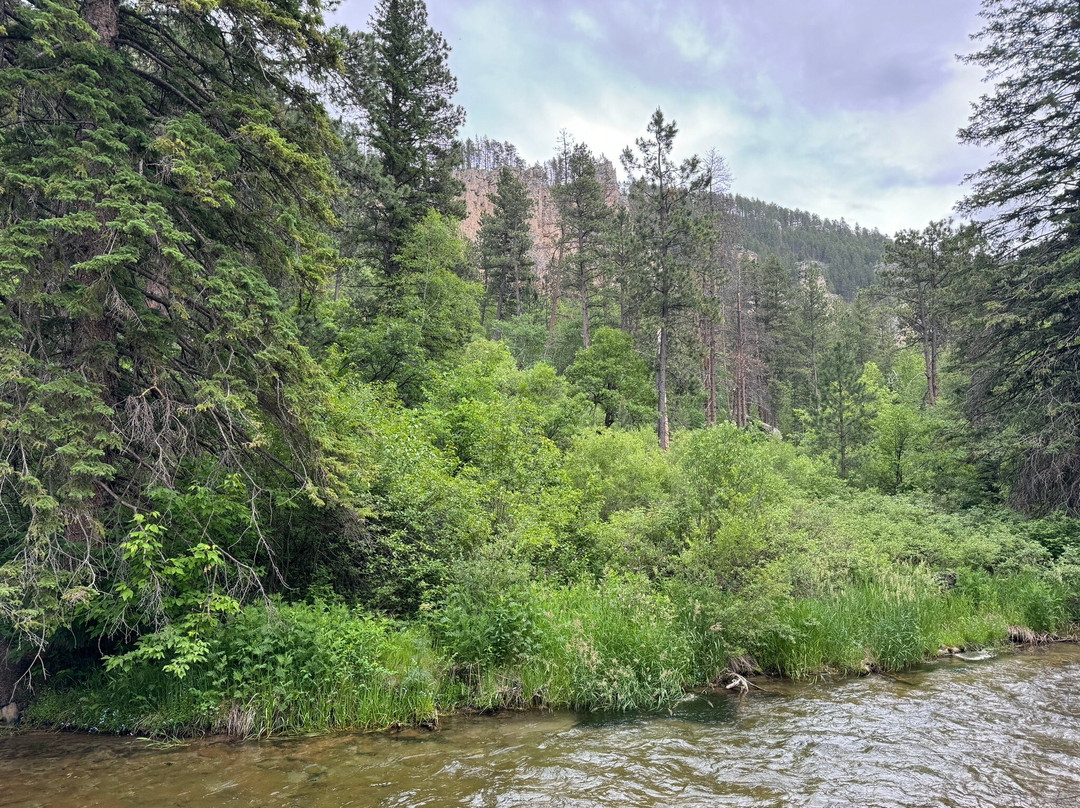Long Valley Picnic Area-Lead必去景点
