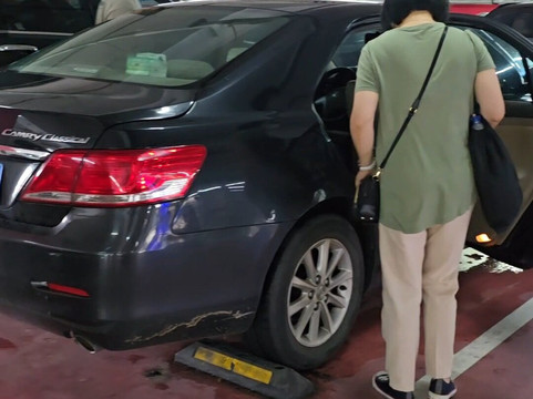 Mr Orange Transfers & Tours-上海市必去景点