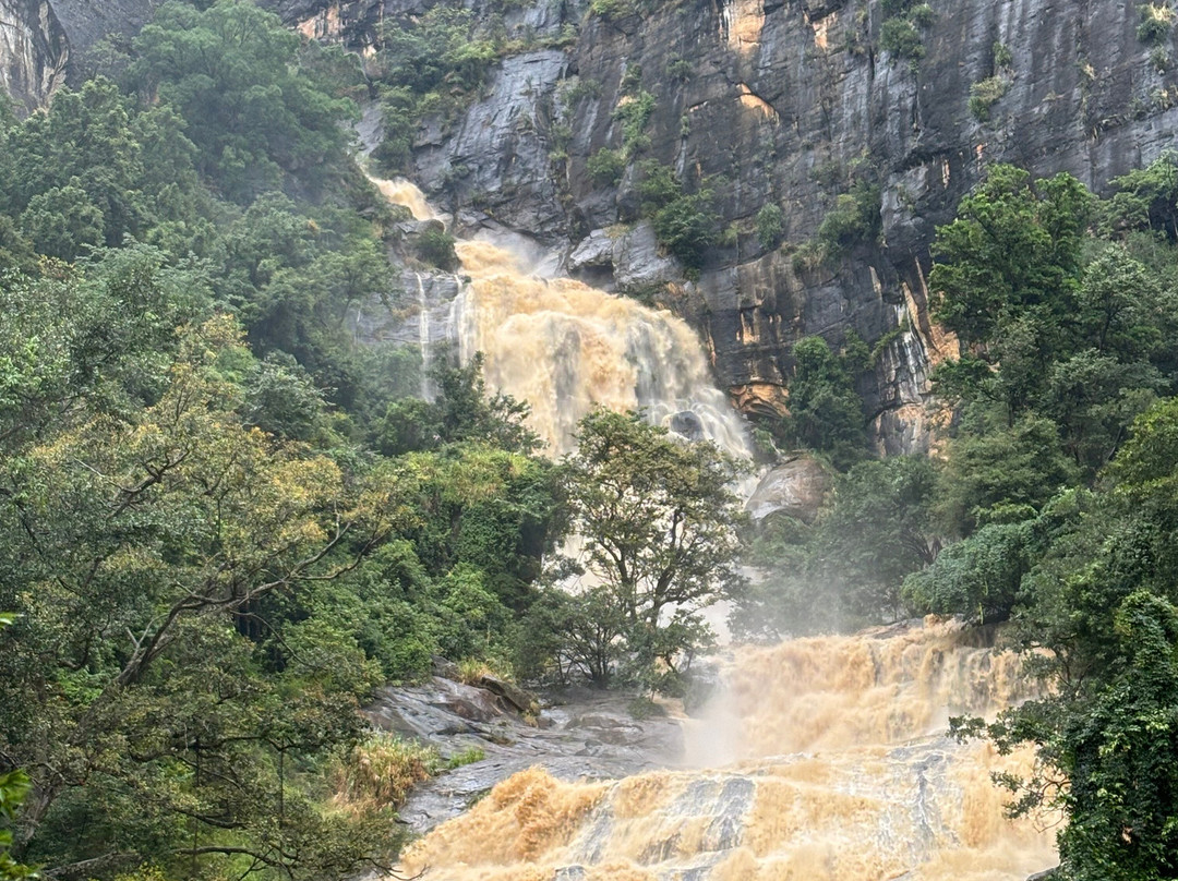 Ceylon Udawalawe Tours-乌达瓦拉瓦必去景点