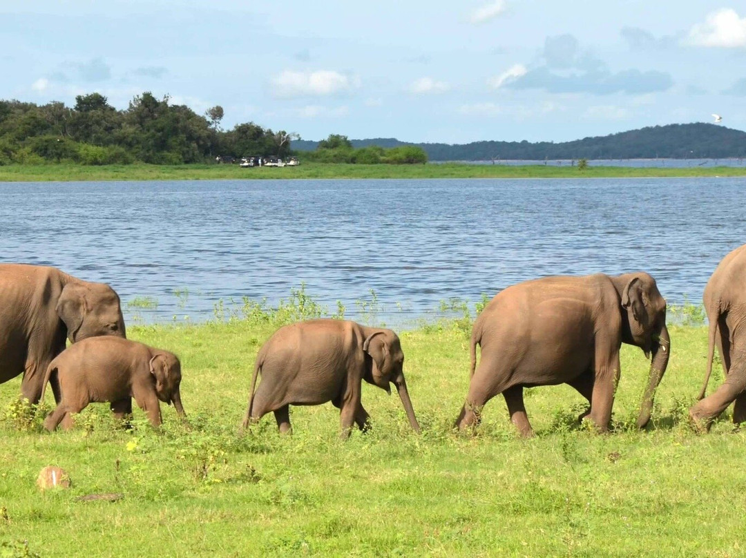 Ceylon Horizons Holidays-康提必去景点
