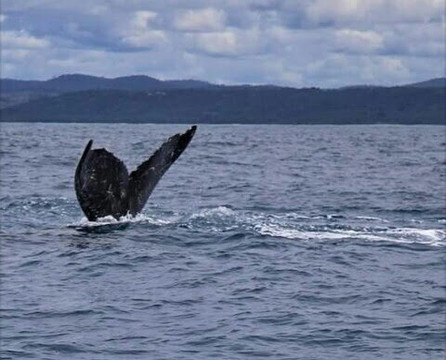 Escuna Deus Pode Mais-Itacare必去景点