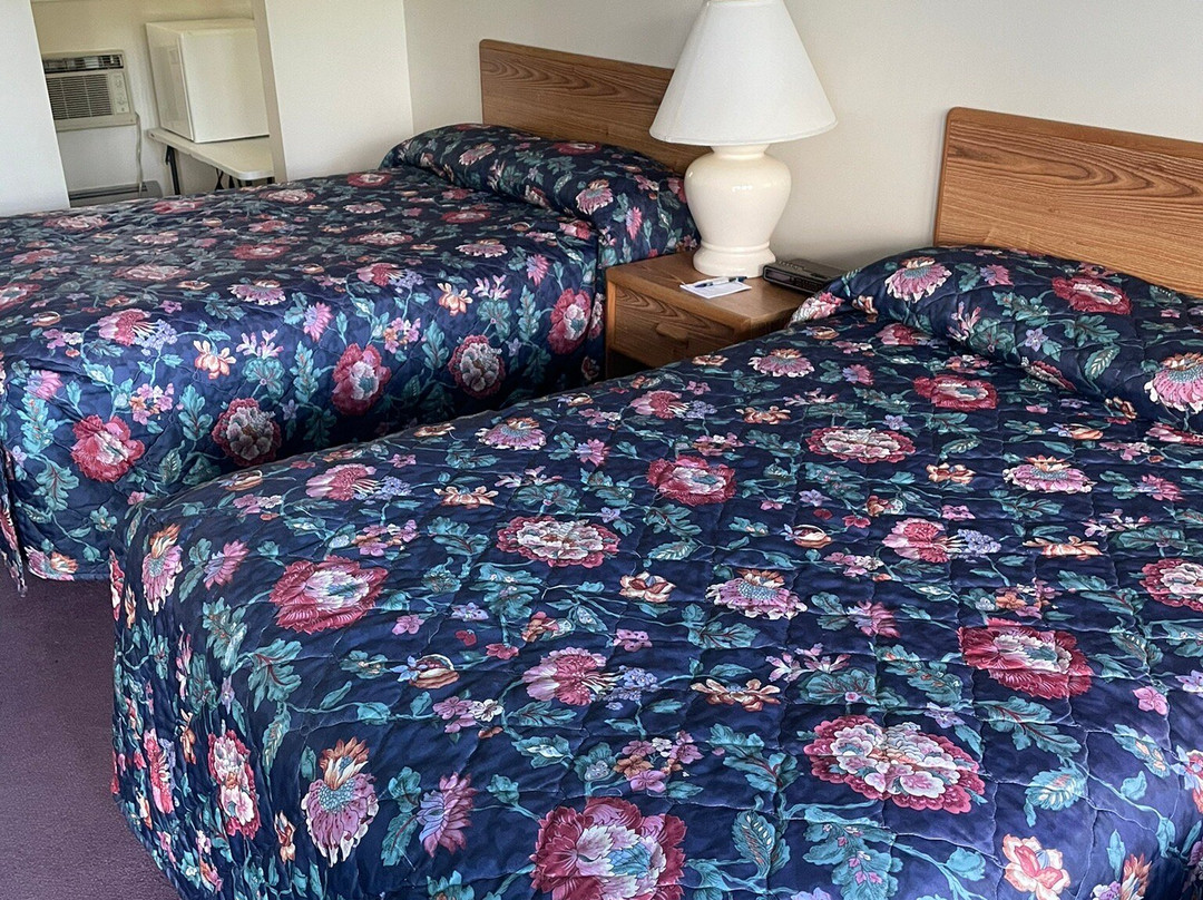 Four Seasons Motor Inn主图