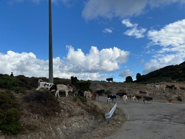 Agriturismo S'Armidda主图