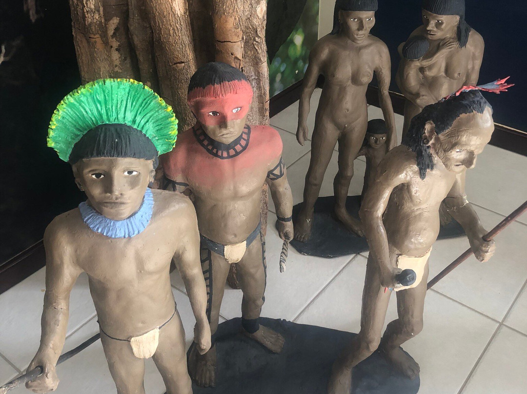 Parque Nacional do Pau Brasil-Porto Seguro必去景点