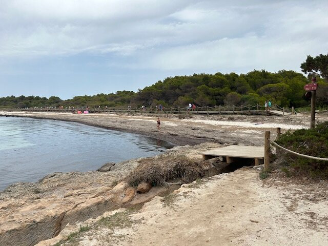 Globales Cala'n Bosch主图