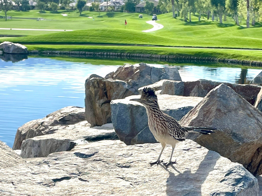 Heritage Palms-印第奥必去景点