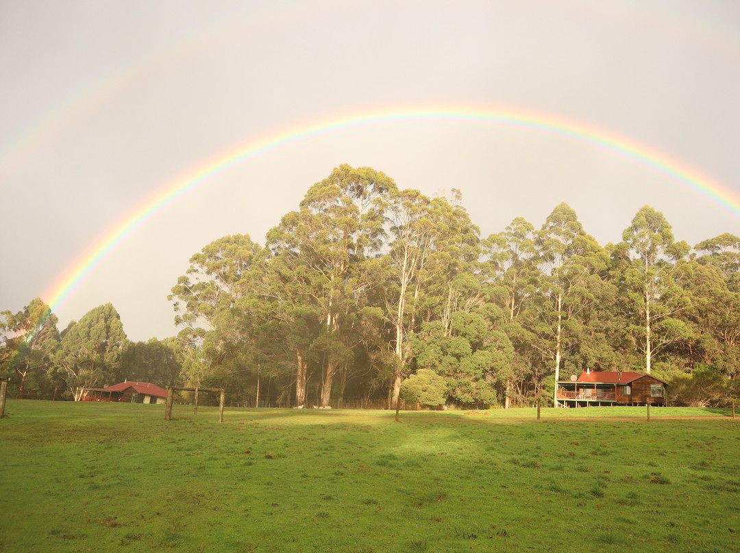 Walpole Wilderness Resort主图