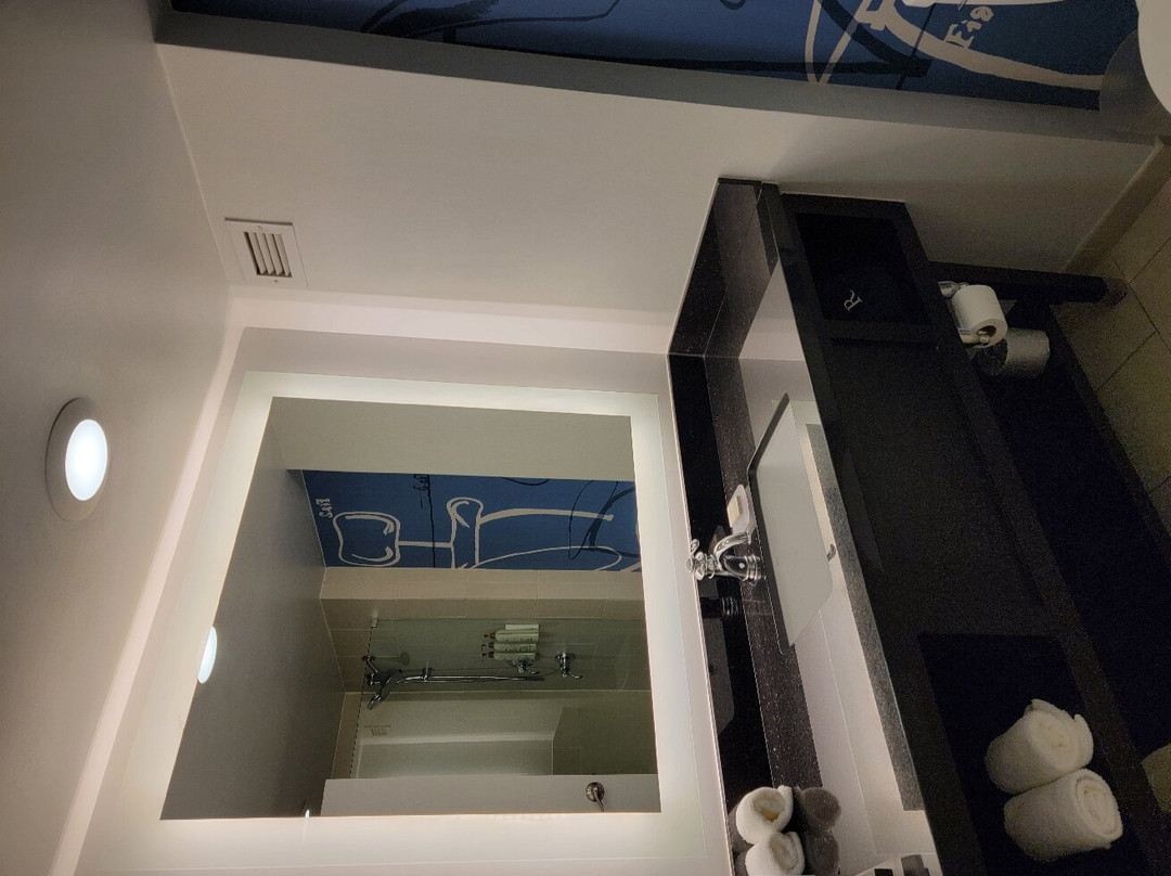 底特律诺维巴朗纳特万丽酒店主图