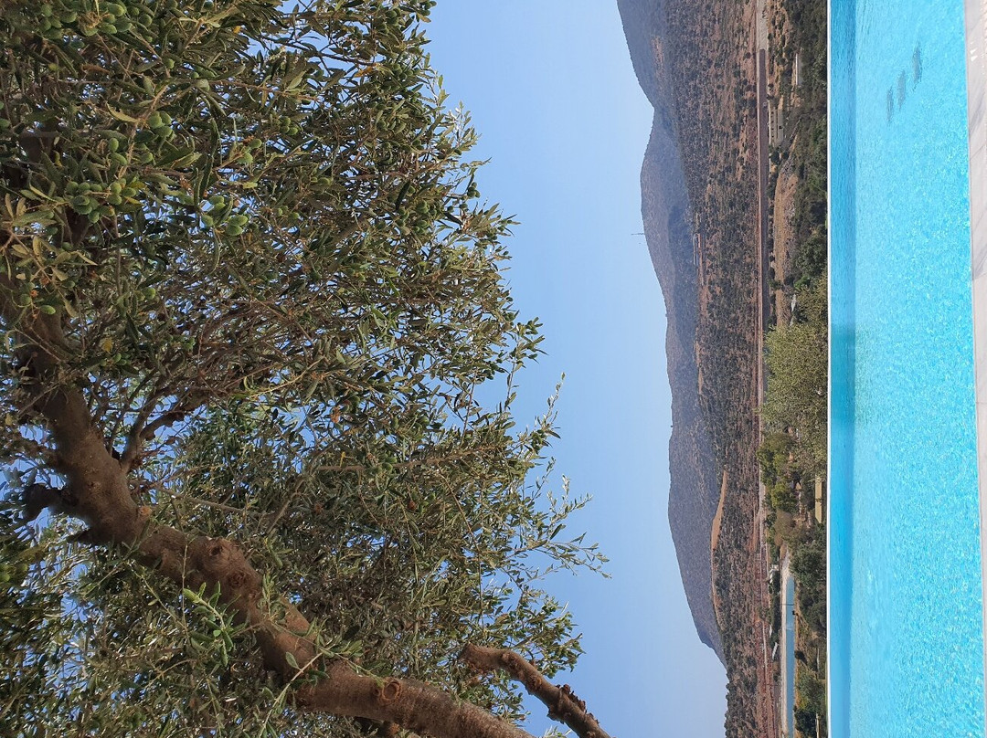 The Crete Golf Club主图