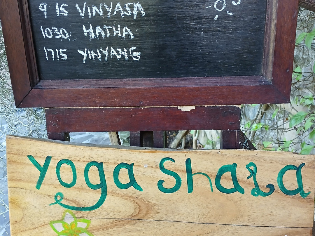 Alamanda Yoga Retreat | Bali Yoga Center景点图片