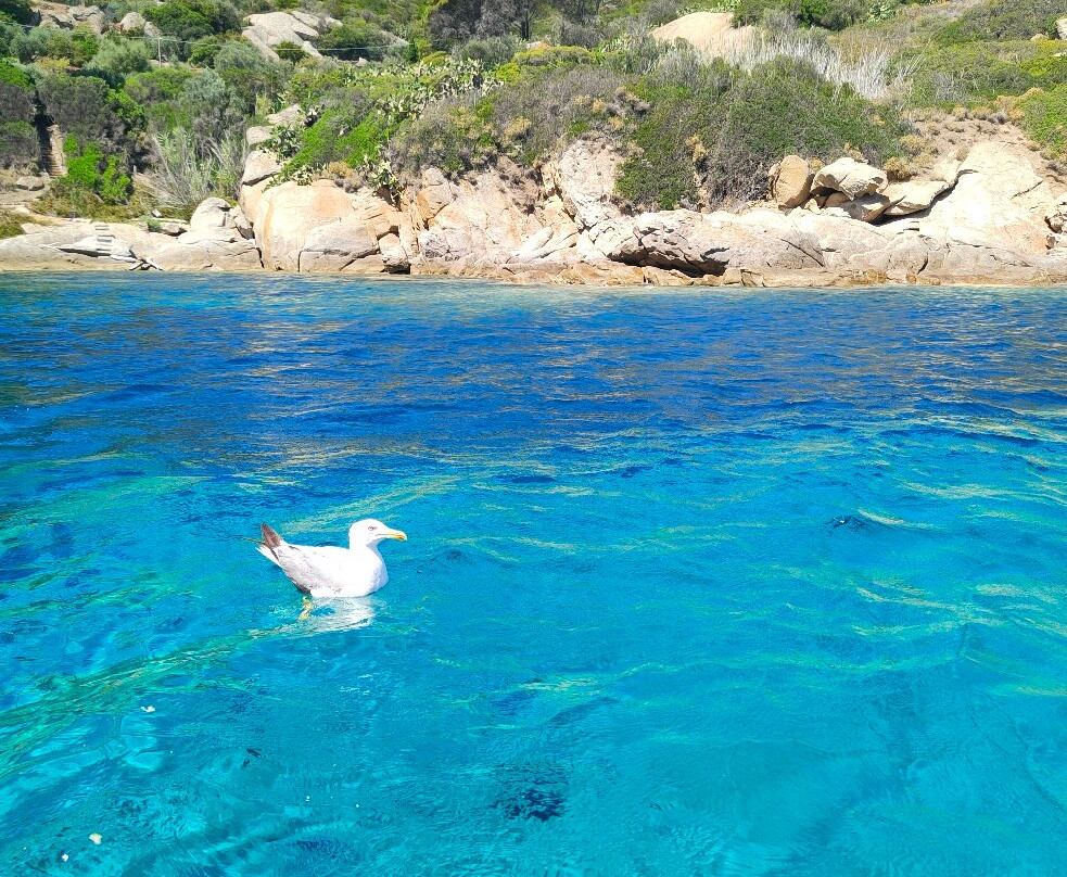 Blue Shark Noleggio Barche-Campese必去景点