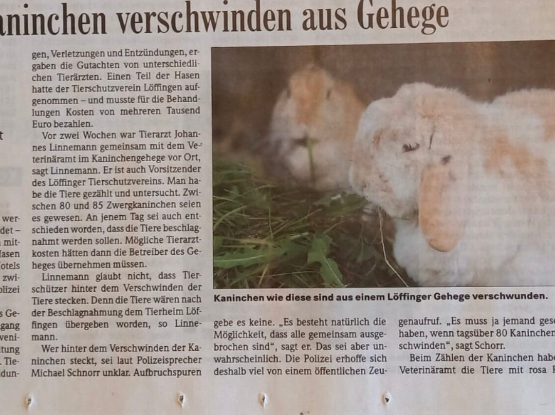 Schwarzwaldpark Hotel主图