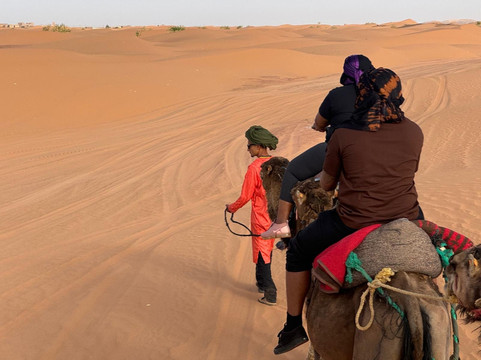 Tours Into Morocco - Day Tours-非斯必去景点