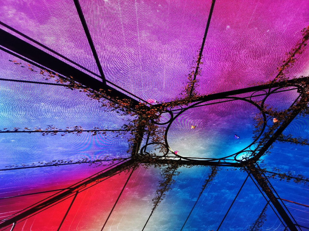 The Butterfly Trail-伦敦必去景点