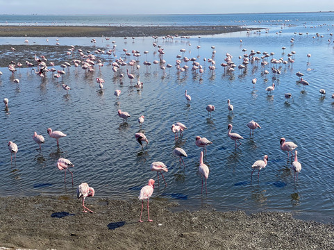 Mannor Safaris Namibia-温德和克必去景点