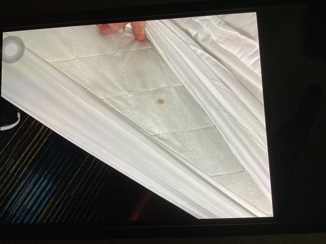 Colonial Motel主图