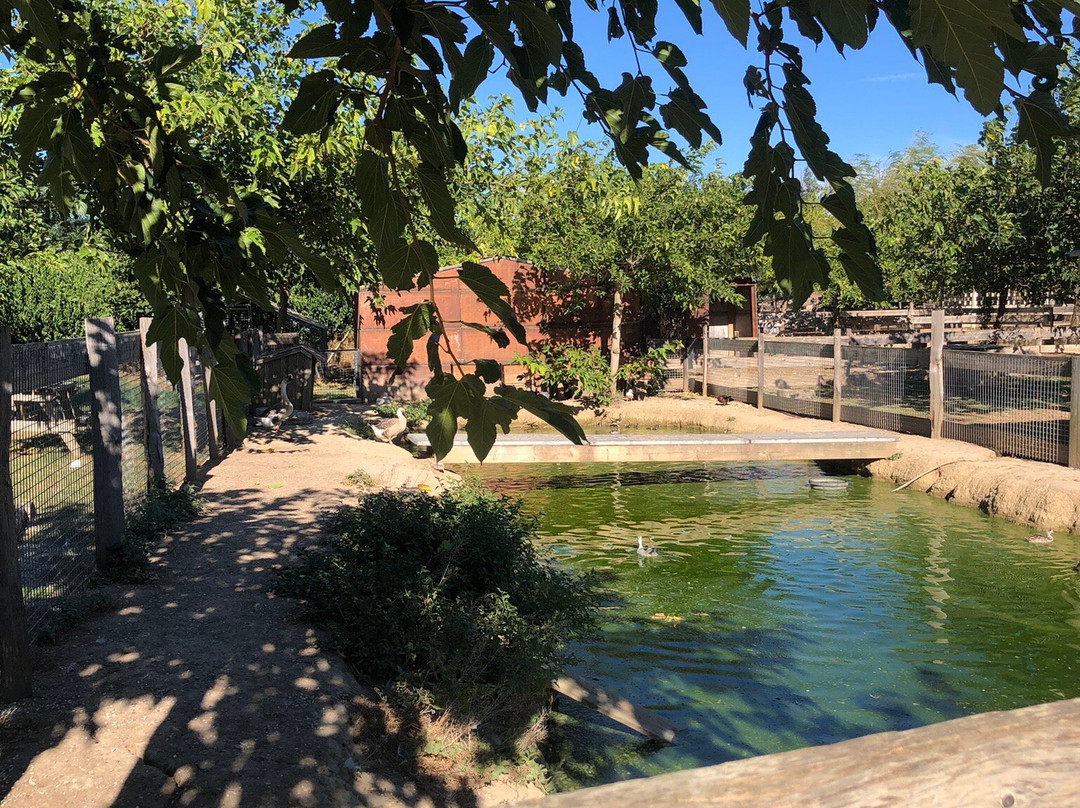 Au Bonheur Des Animaux景点图片
