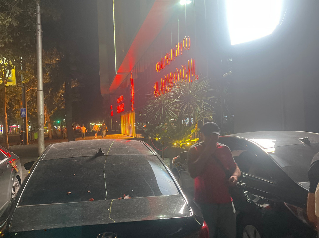 Black Opal Tours-Lightning Ridge必去景点