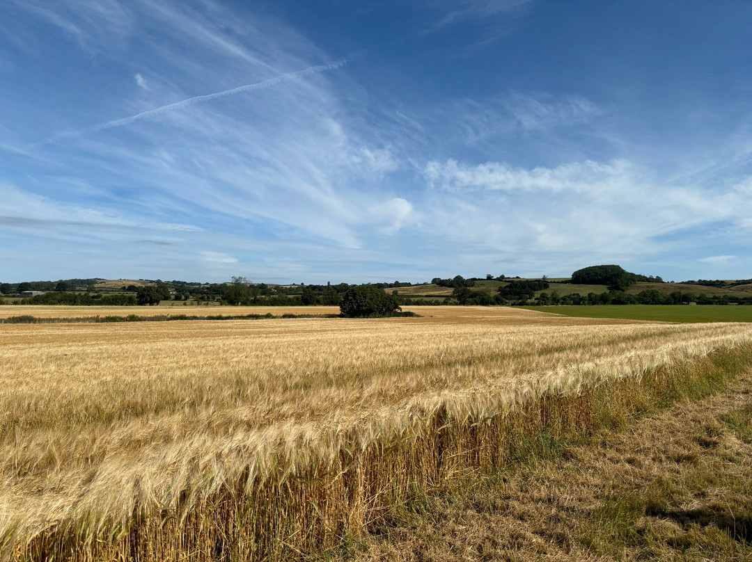 贝斯特韦斯特奥克兰斯宫酒店主图